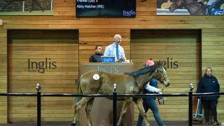 Harding snaps up Frankel filly for A$525,000 in two-speed market