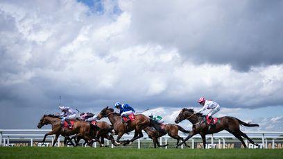 'I've not been this nervous going into Ascot before' - anticipation rising for trainers and jockeys as showers hit Sandown