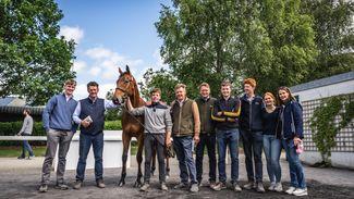 Bleahen brothers' French imports dominate at Arkle Sale led by Mullins-bound €210,000 'stunner with huge pedigree'