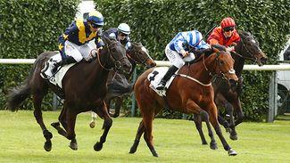 Amy Murphy's unbeaten Hot Darling sets new Tattersalls Online record at 460,000gns - and next stop is Royal Ascot