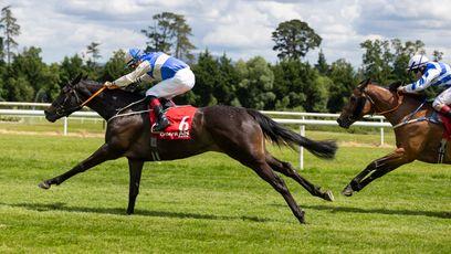 Gowran: 'It was a class ride' - Ronan Whelan at his best as he steers Elinor Dashwood to impressive win for Ado McGuinness