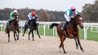 Kempton: Enable's half-sister Zilfee digs deep to get off the mark on all-weather debut - just like her uber famous sibling