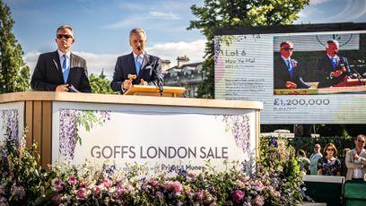 Unbeaten Group winner Lazzat plus more Royal Ascot contenders added to Goffs London Sale