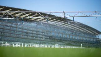 Ascot 'very likely' to water both the straight and round courses on Monday after drying day